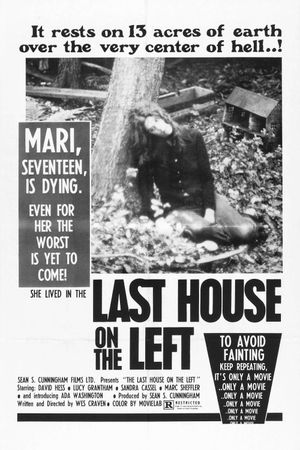 The Last House on the Left's poster