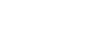 Anora's poster