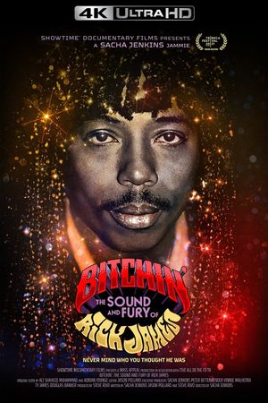 Bitchin': The Sound and Fury of Rick James's poster