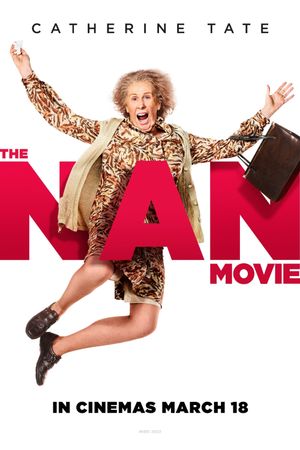 The Nan Movie's poster