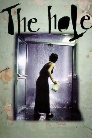 The Hole's poster