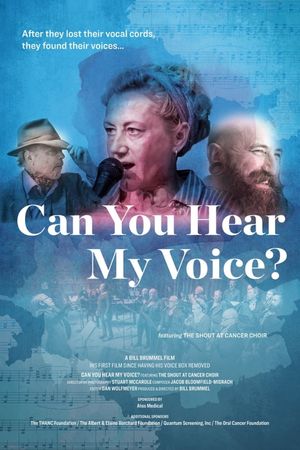 Can You Hear My Voice?'s poster image