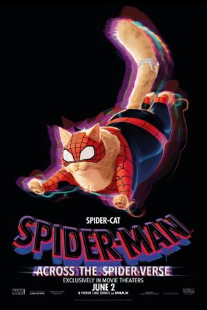 Spider-Man: Across the Spider-Verse's poster