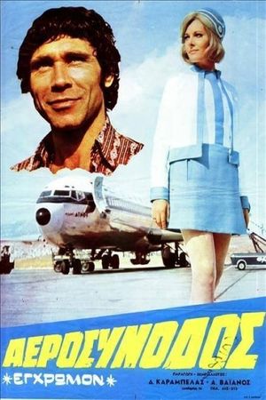 The Air Stewardess's poster