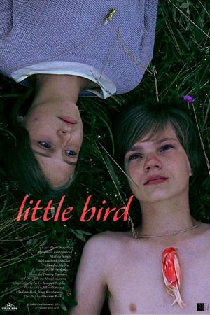 Little Bird's poster