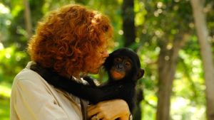 Bonobos: Back to the Wild's poster