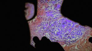 The Fabric of the Human Body's poster