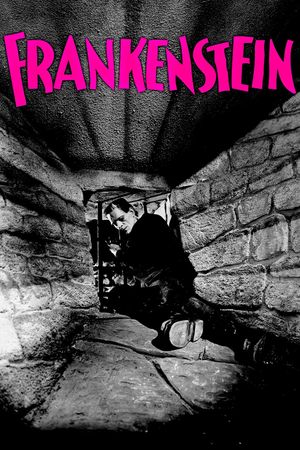 Frankenstein's poster