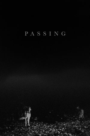 Passing's poster