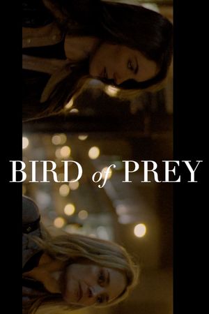 Bird of Prey's poster