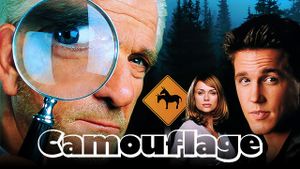Camouflage's poster