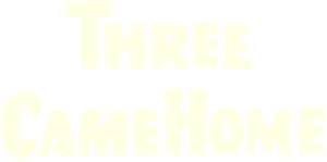 Three Came Home's poster