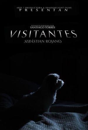 Visitors's poster