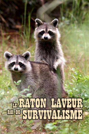 The Raccoon; The King of Survivalism's poster