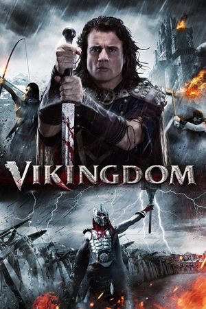 Vikingdom's poster