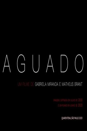 Aguado's poster