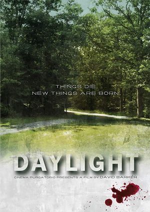 Daylight's poster image