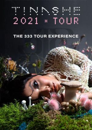 The 333 Tour Experience's poster