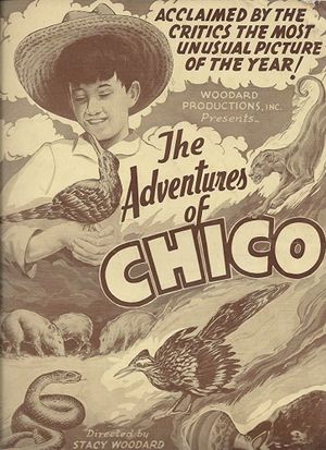 The Adventures of Chico's poster