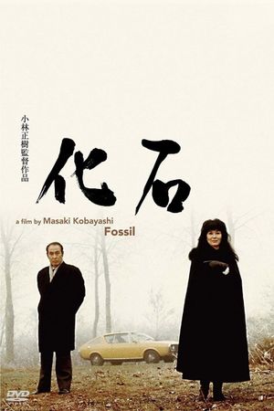 The Fossil's poster image