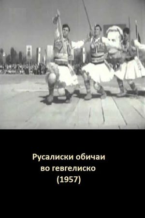 The Rusalia Customs of Gevgelija's poster