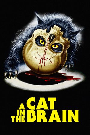 A Cat in the Brain's poster
