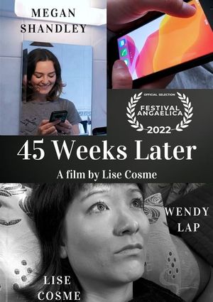 45 Weeks Later's poster