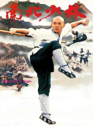 Martial Arts of Shaolin's poster