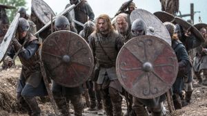 Viking's poster