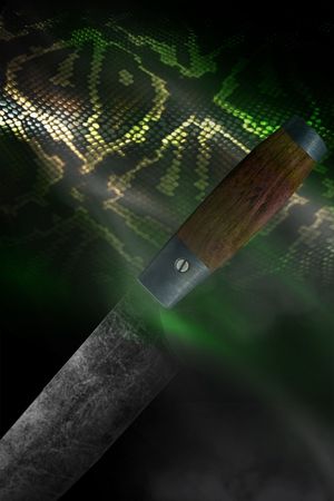 Granny: Storm of Light's poster