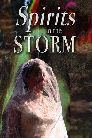 Spirits in the Storm's poster