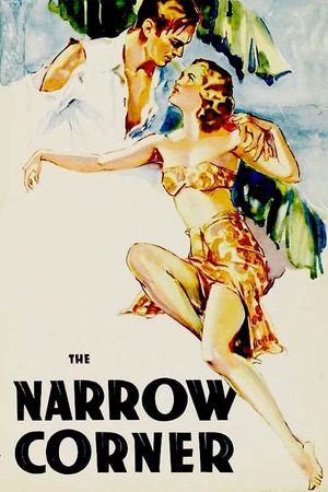 The Narrow Corner's poster image