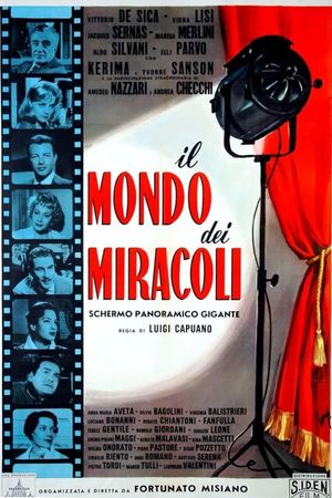 Il mondo dei miracoli's poster