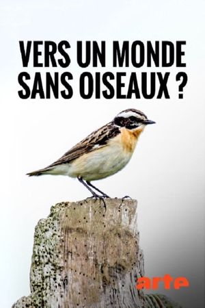 Towards a World Without Birds's poster