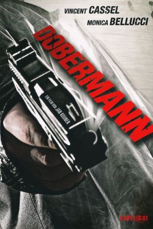 Dobermann's poster