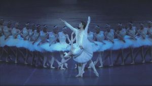 Tchaikovsky: Swan Lake's poster