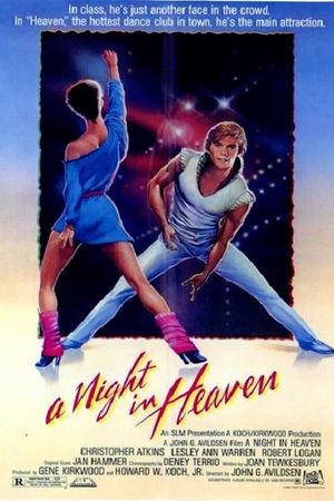 A Night in Heaven's poster