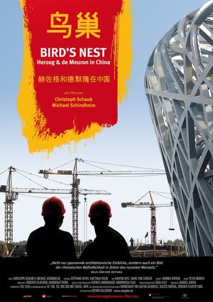 Bird's Nest's poster