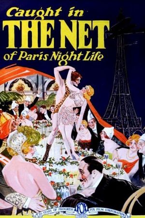 The Net's poster