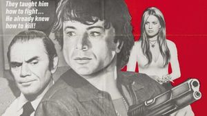 The Boxer's poster