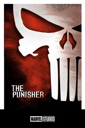 The Punisher's poster