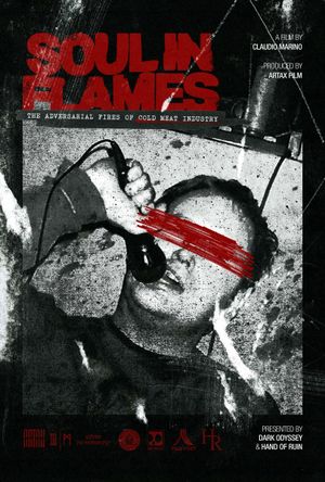 Soul in Flames's poster