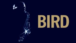 Bird's poster