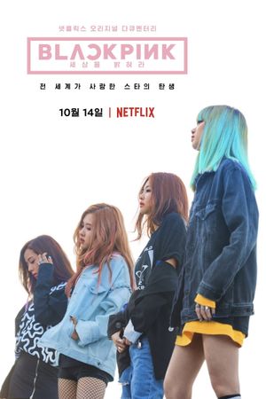 Blackpink: Light Up the Sky's poster