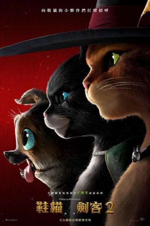 Puss in Boots: The Last Wish's poster