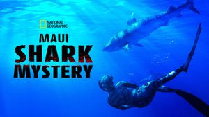 Maui Shark Mystery's poster