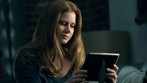 The Woman in the Window's poster