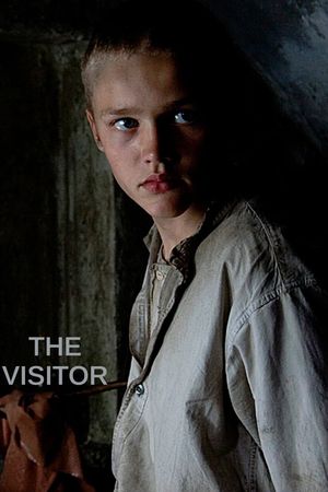 The Visitor's poster image