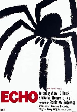 Echo's poster