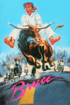They Still Call Me Bruce's poster
